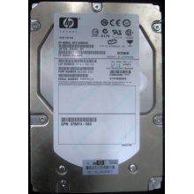 HP 454228-001 146Gb 15k SAS HDD (Железнодорожный)