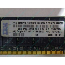 IBM 73P2871 73P2867 2Gb (2048Mb) DDR2 ECC Reg memory (Железнодорожный)