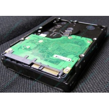 Жесткий диск 600Gb 15k Dell 9FN066-008 6G SAS ( Seagate Cheetach ST3600057SS 15K.7) - Железнодорожный