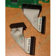 6017B0045701 Шлейф 24 pin для Intel C74974-401 T0043401-B01 корпуса SR2400 (Железнодорожный)