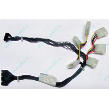 59P4789 FRU 59P4792 в Железнодорожном, кабель IBM 59P4789 FRU 59P4792 для серверов X225 (Железнодорожный)