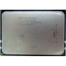 AMD Opteron 6128 OS6128WKT8EGO (Железнодорожный)