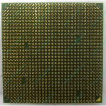 Процессор AMD Sempron 3000+ (1.6GHz) SDA3000IAA3CN s.AM2 (Железнодорожный)